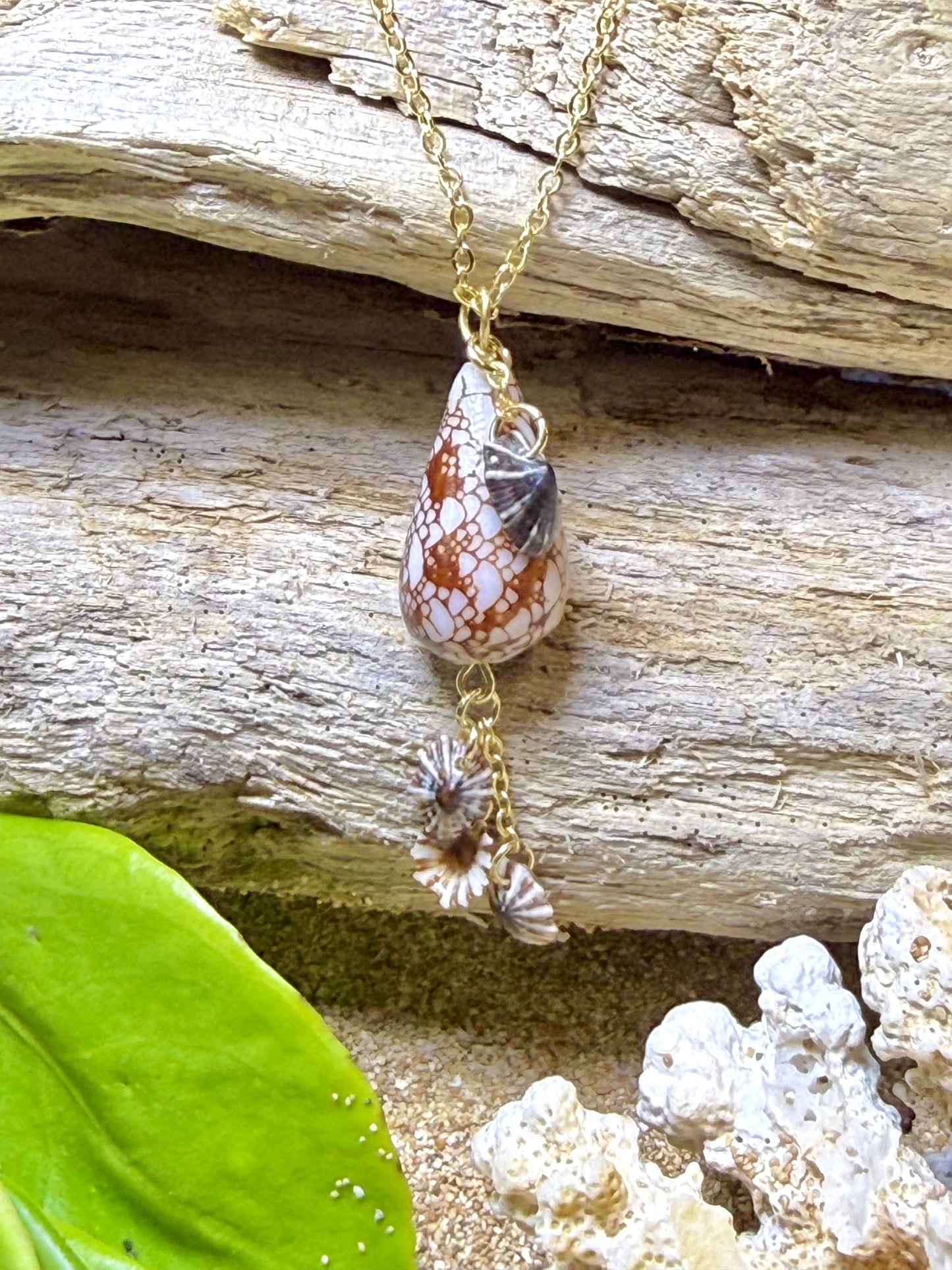 Penniform Cone Shell Necklace