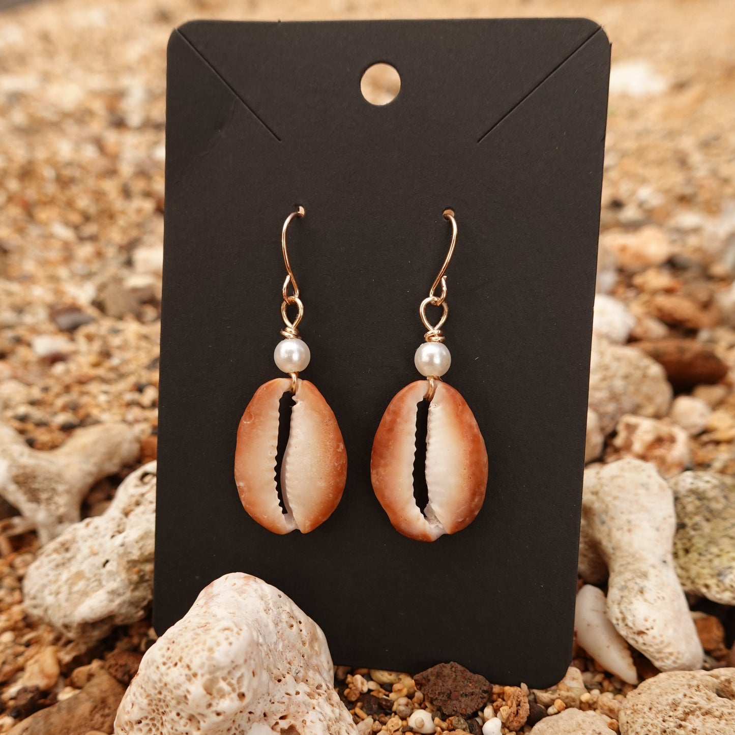 Cowry Chip Earrings