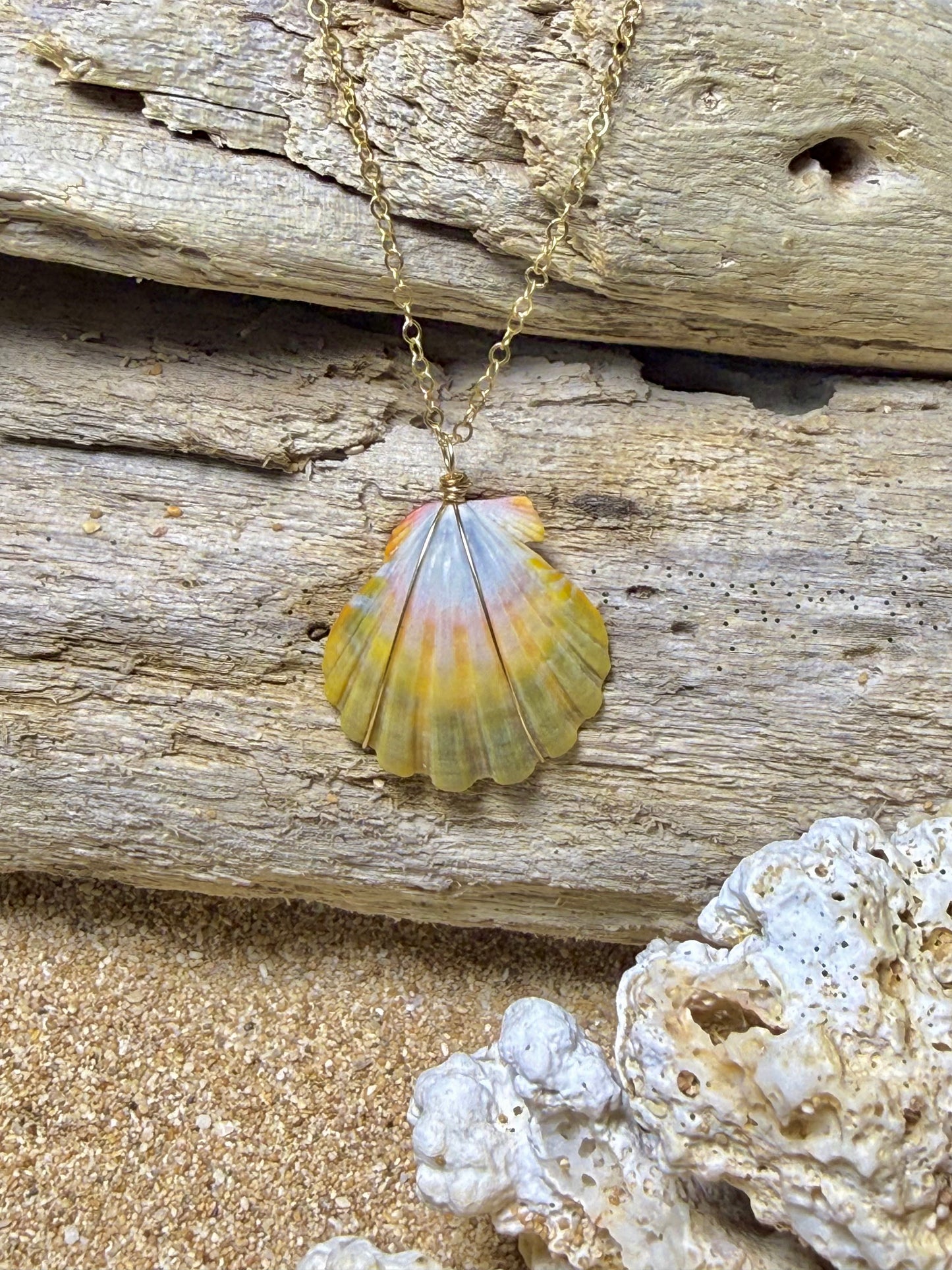 Moonrise Shell Necklace