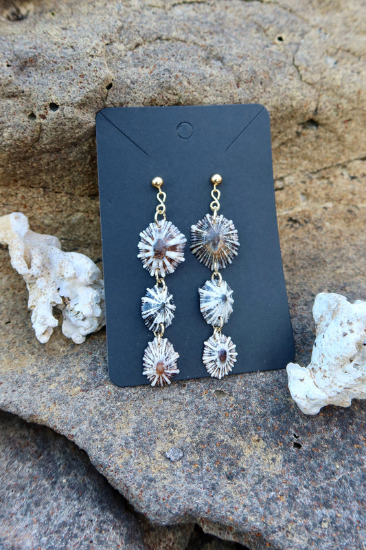 Triple Dangle 'Opihi