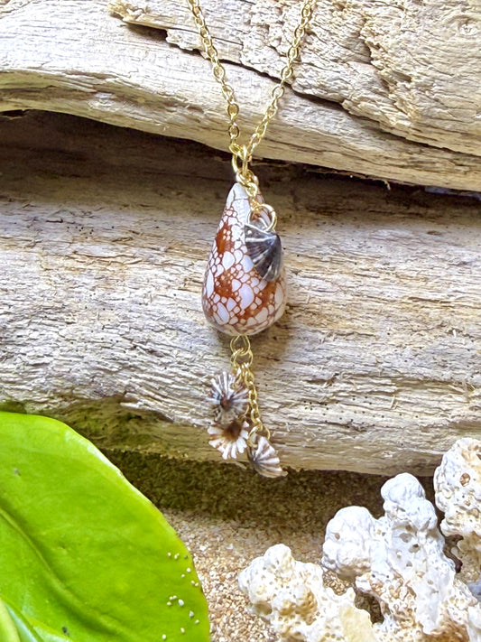 Penniform Cone Shell Necklace