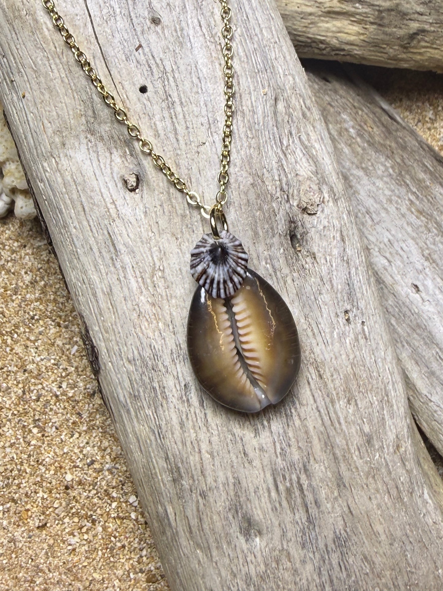 Cowry Shell with ‘Opihi ‘Awa Necklace