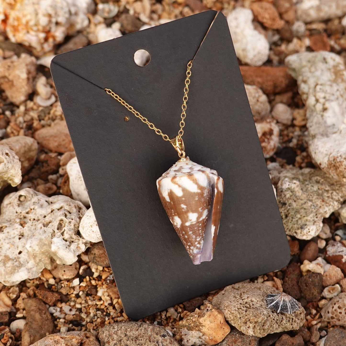 Rat Cone Shell Necklace.