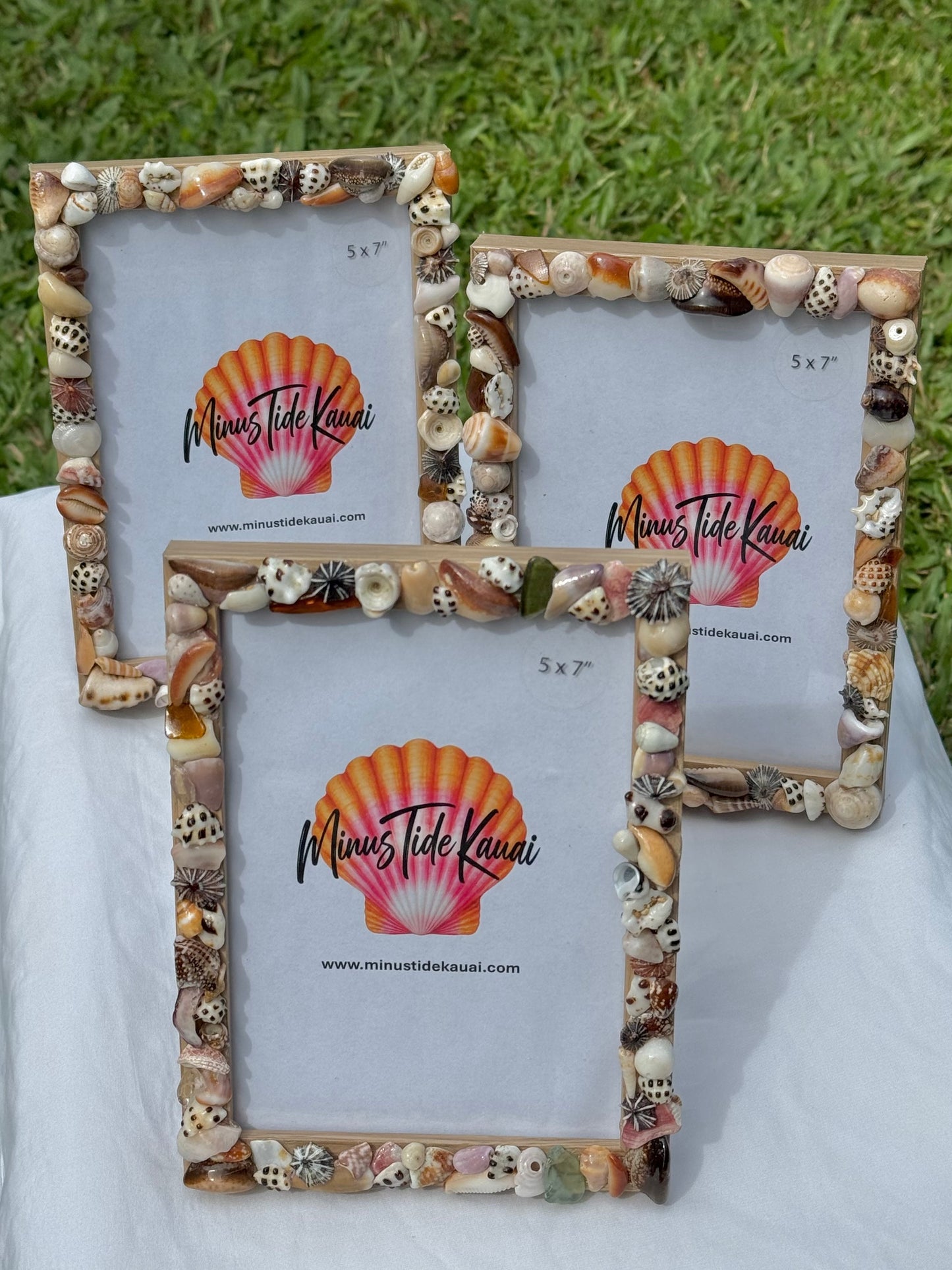 Seashell Picture Frames