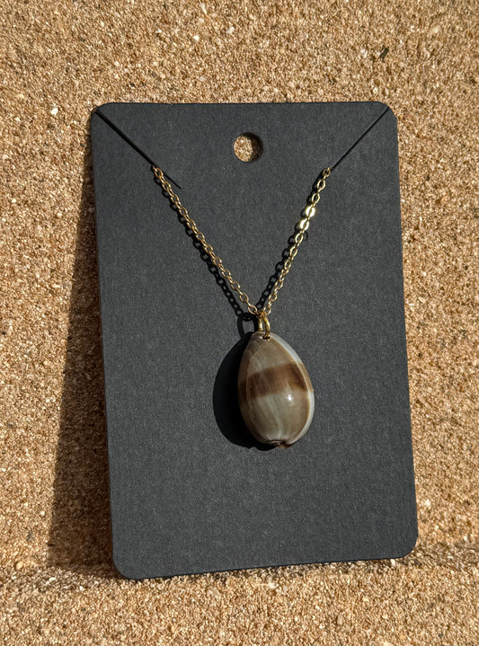 Juvenile Cowry Necklace.