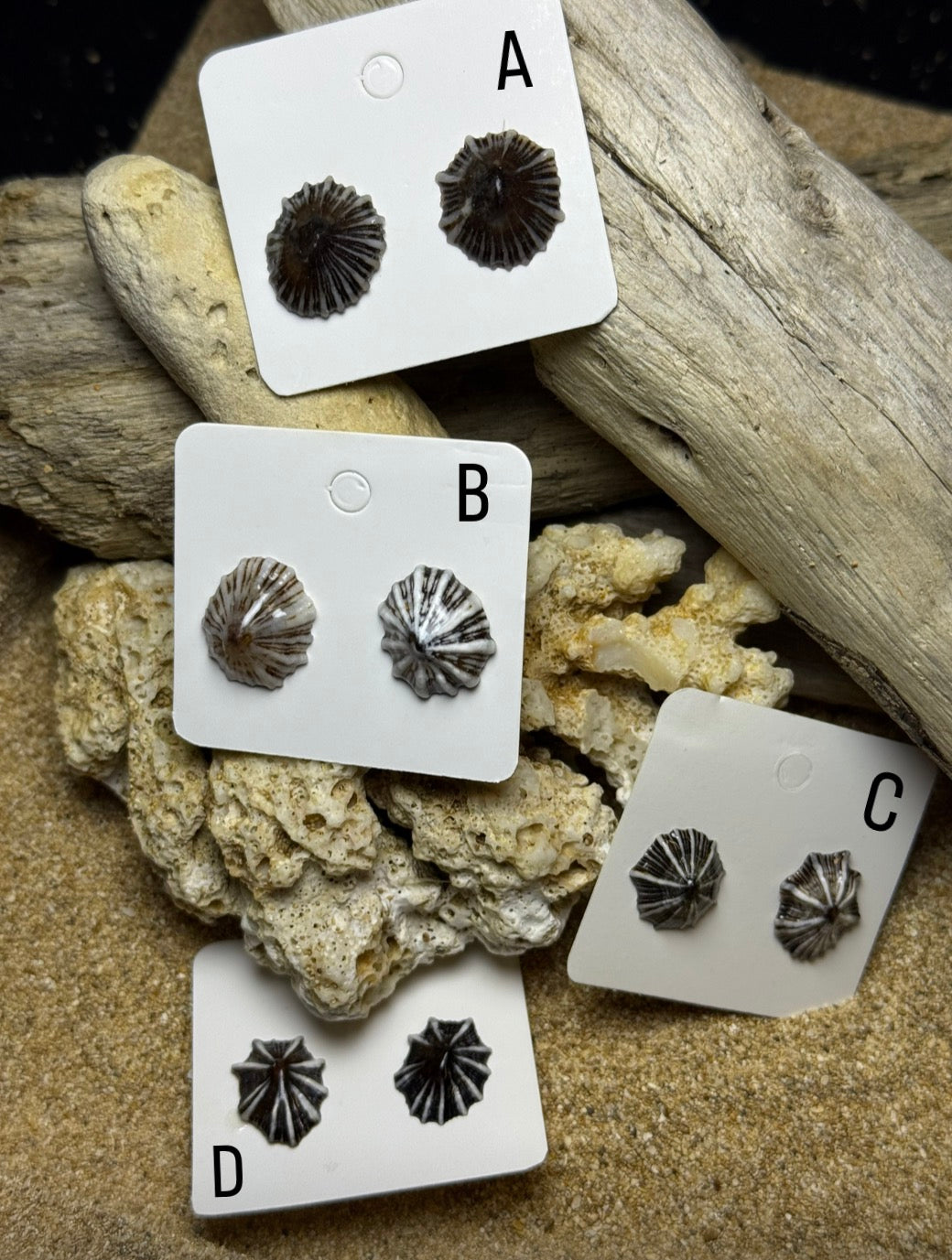 Opihi Awa Stud Earrings