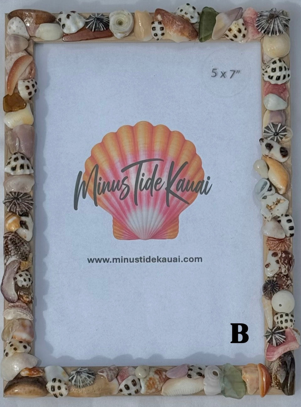 Seashell Picture Frames