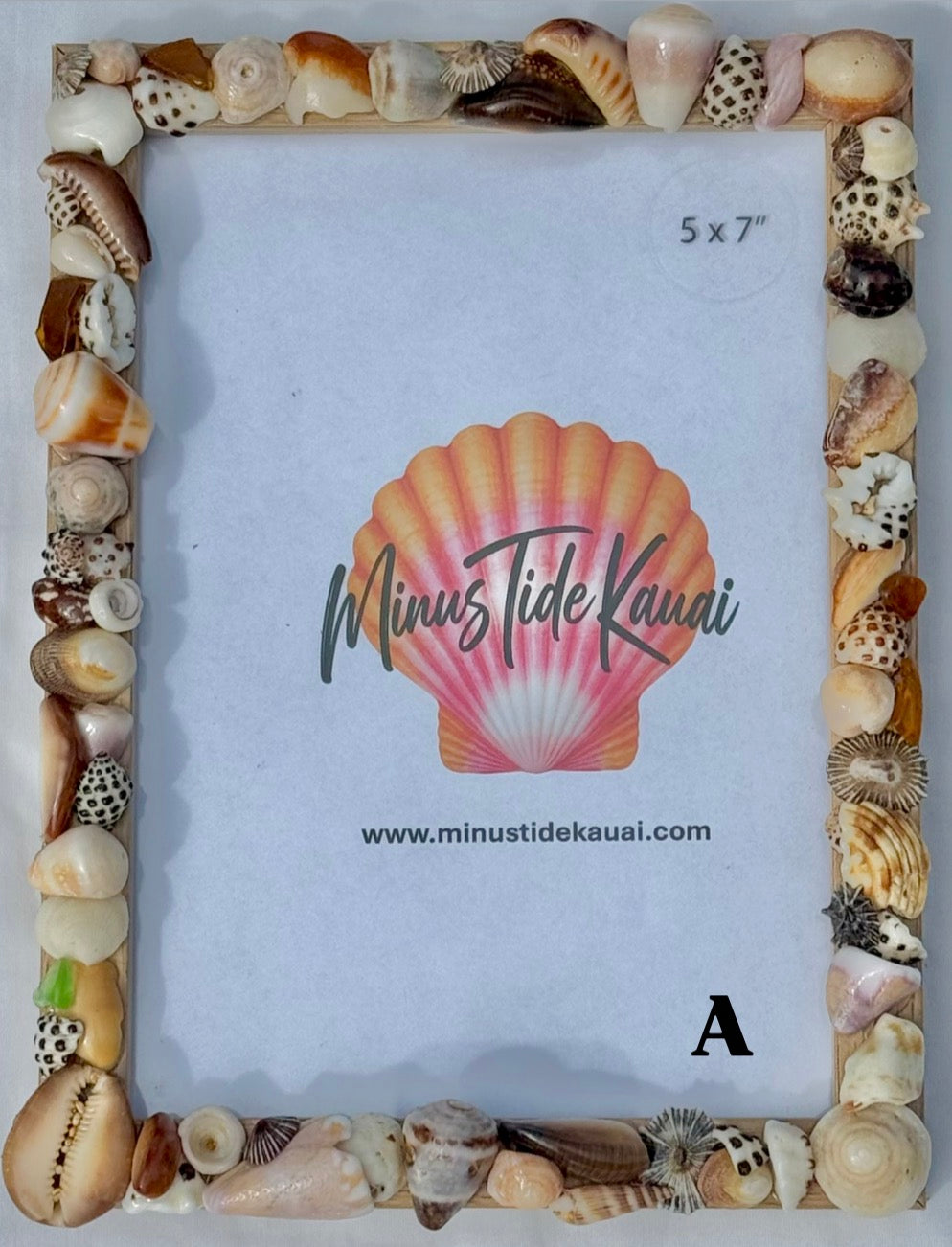 Seashell Picture Frames
