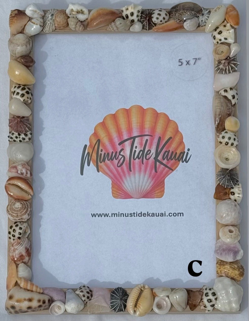 Seashell Picture Frames