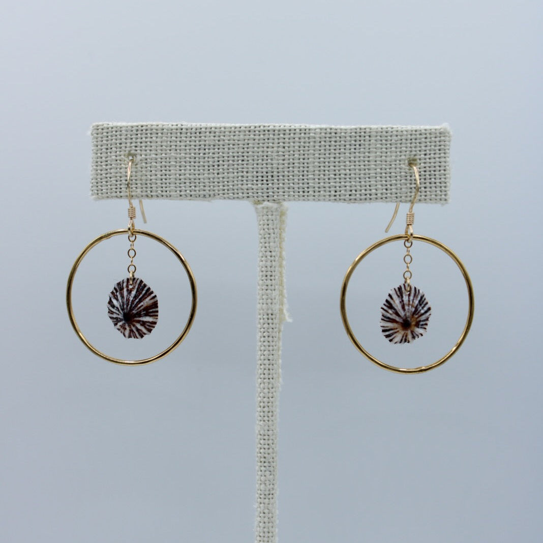 'Opihi 'Awa Hoop Earrings